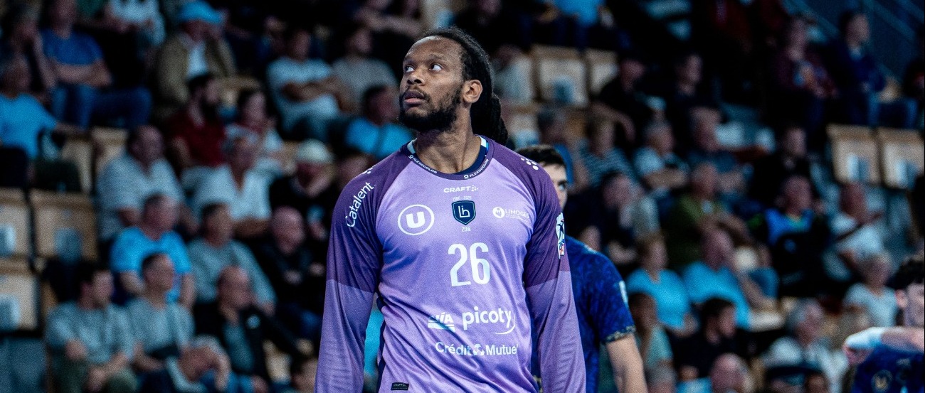 Les enjeux de la 28ème journée de Liqui Moly StarLigue
