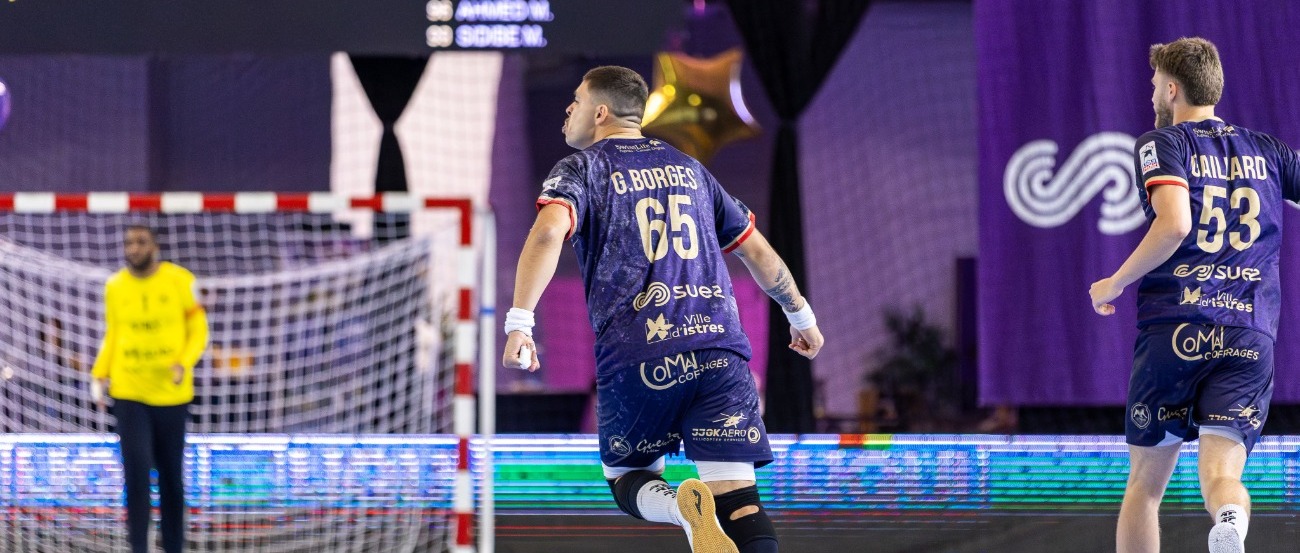 Les enjeux de la 30ème journée de Liqui Moly StarLigue
