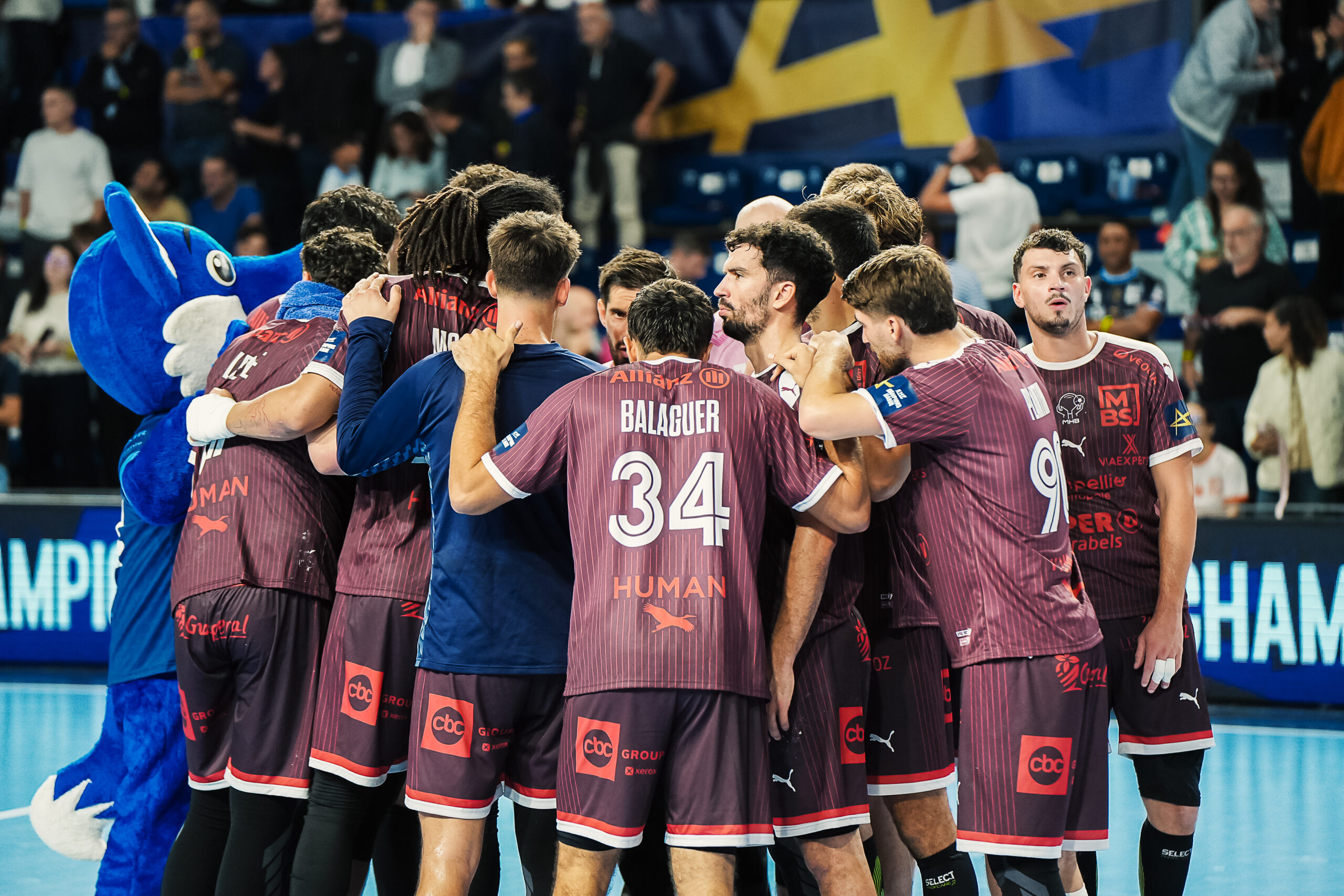 Montpellier – Bucarest : une dernière bataille en EHF Champions League, qui compte pour la suite