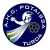 logo Turda